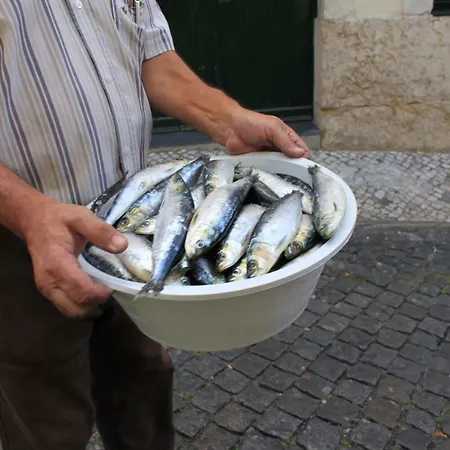 Little For Two-alfama